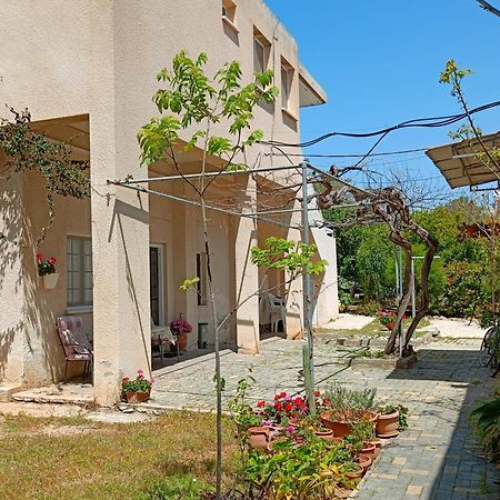 The Grapevine Guest House Пафос Экстерьер фото