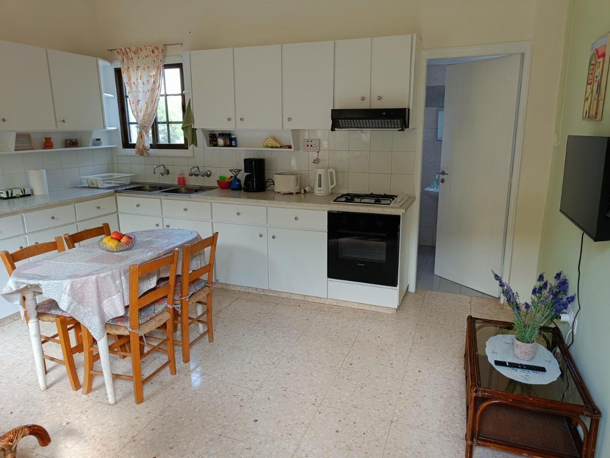 The Grapevine Guest House Пафос Экстерьер фото